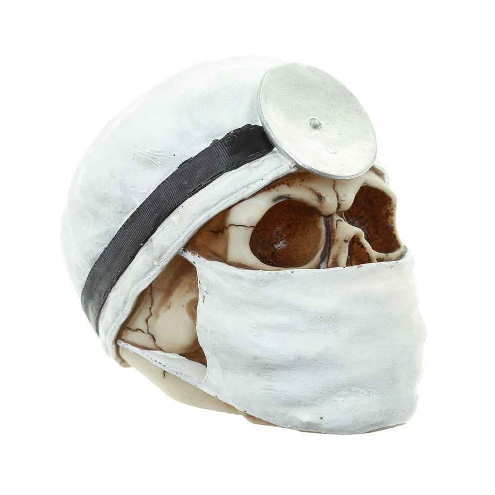 Crâne décoration docteur blanc