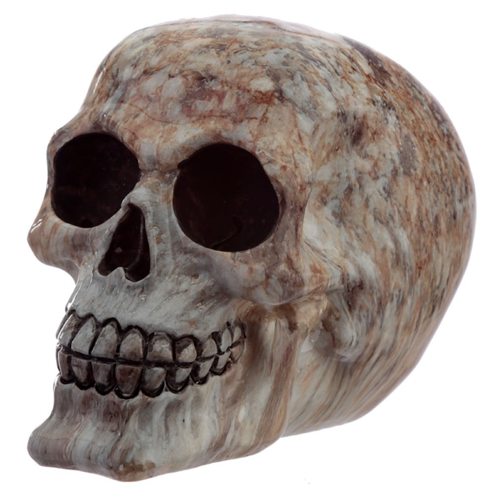 Crâne décoration marbre