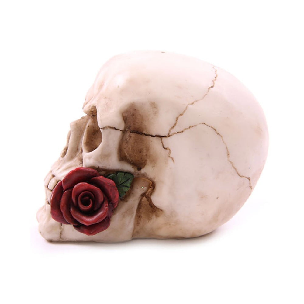 Crâne décoration rose dans la bouche