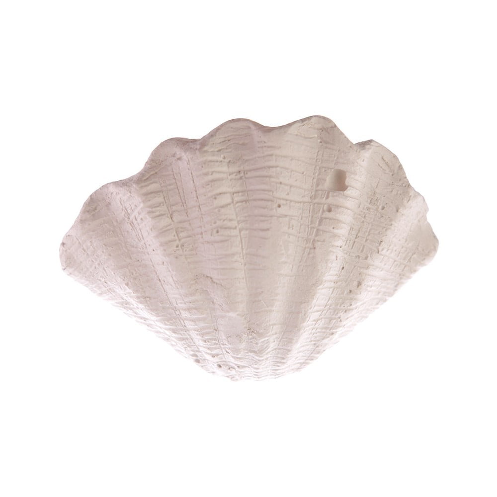 Kit de fouille archéo coquillage perle