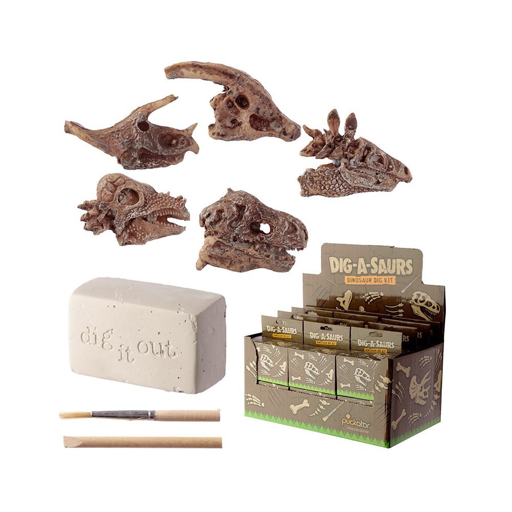 Kit de fouille archéo crânes de Dinosaures